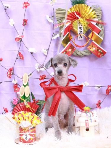 20230118ラブくん